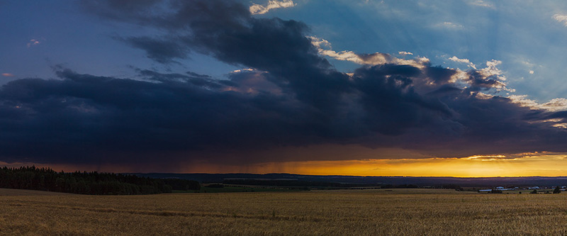 Dawn